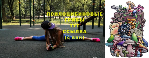 ALPHA PVP Алексеевка