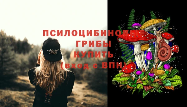 ALPHA PVP Алексеевка