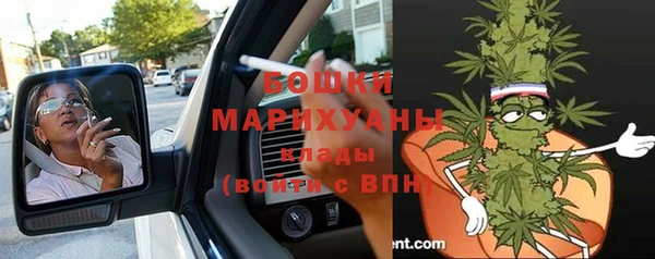 бошки Алексин