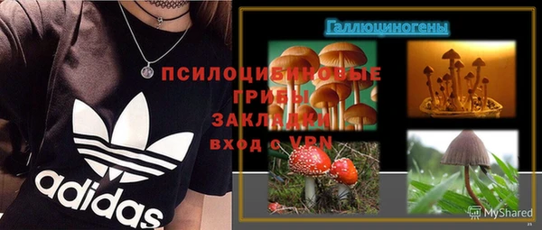 бошки Алексин